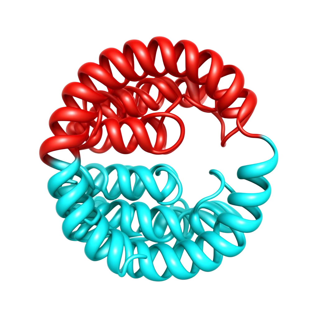 Cellular receptor binding pocket — red and cyan alpha-helix ribbons